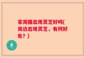家周围出现灵芝好吗(周边出现灵芝，有何好处？)