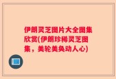 伊朗灵芝图片大全图集欣赏(伊朗珍稀灵芝图集，美轮美奂动人心)