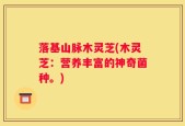 落基山脉木灵芝(木灵芝：营养丰富的神奇菌种。)