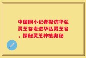 中国网小记者探访华弘灵芝谷走进华弘灵芝谷，探秘灵芝种植奥秘