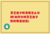 灵芝孢子粉发霉怎么分辨(如何分辨灵芝孢子粉的霉变状态)