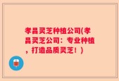 孝昌灵芝种植公司(孝昌灵芝公司：专业种植，打造品质灵芝！)
