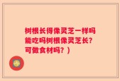 树根长得像灵芝一样吗能吃吗树根像灵芝长？可做食材吗？)