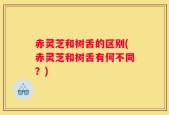 赤灵芝和树舌的区别(赤灵芝和树舌有何不同？)