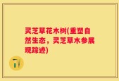 灵芝草花木树(重塑自然生态，灵芝草木参展现踪迹)