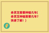 赤灵芝需要种植几年(赤灵芝种植需要几年？快速了解！)