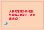 人参灵芝野外素材(野外采摘人参灵芝，请你来试试！)