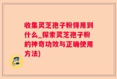 收集灵芝孢子粉得用到什么_探索灵芝孢子粉的神奇功效与正确使用方法)