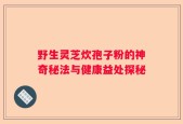 野生灵芝炊孢子粉的神奇秘法与健康益处探秘