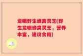 龙眼野生蜂窝灵芝(野生龙眼蜂窝灵芝，营养丰富，建议食用)