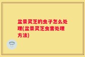 盆景灵芝的虫子怎么处理(盆景灵芝虫害处理方法)