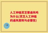 人工种植灵芝要通风吗为什么(灵芝人工种植的通风原则与必要性)