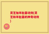 灵芝加羊肚菌功效(灵芝和羊肚菌的神奇功效)