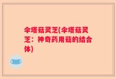 伞塔菇灵芝(伞塔菇灵芝：神奇药用菇的结合体)