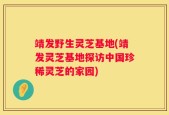靖发野生灵芝基地(靖发灵芝基地探访中国珍稀灵芝的家园)