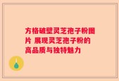 方格破壁灵芝孢子粉图片 展现灵芝孢子粉的高品质与独特魅力