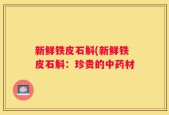新鲜铁皮石斛(新鲜铁皮石斛：珍贵的中药材