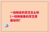 一枝梅卖的灵芝怎么样(一枝梅销售的灵芝质量如何？