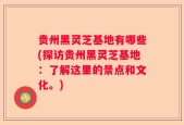 贵州黑灵芝基地有哪些(探访贵州黑灵芝基地：了解这里的景点和文化。)