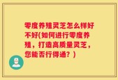 零度养殖灵芝怎么样好不好(如何进行零度养殖，打造高质量灵芝，您能否行得通？)