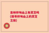 吉林桦甸山上有灵芝吗(探寻桦甸山上的灵芝之旅)