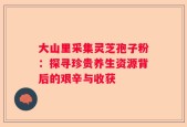 大山里采集灵芝孢子粉：探寻珍贵养生资源背后的艰辛与收获