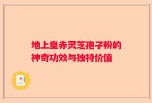 地上皇赤灵芝孢子粉的神奇功效与独特价值