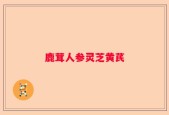 鹿茸人参灵芝黄芪