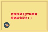 村民捡灵芝(村民意外捡到珍贵灵芝！)