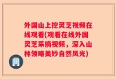 外国山上挖灵芝视频在线观看(观看在线外国灵芝采摘视频，深入山林领略美妙自然风光)