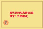 紫灵芝的形态特征(紫灵芝：外形描绘)