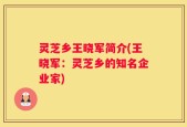 灵芝乡王晓军简介(王晓军：灵芝乡的知名企业家)
