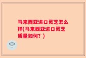 马来西亚进口灵芝怎么样(马来西亚进口灵芝质量如何？)