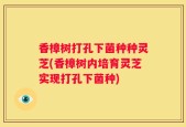 香樟树打孔下菌种种灵芝(香樟树内培育灵芝实现打孔下菌种)