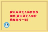 霍山采灵芝人参价格及图片(霍山灵芝人参价格及图片一览)