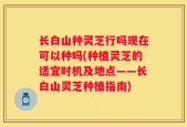 长白山种灵芝行吗现在可以种吗(种植灵芝的适宜时机及地点——长白山灵芝种植指南)