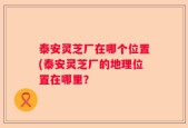 泰安灵芝厂在哪个位置(泰安灵芝厂的地理位置在哪里？