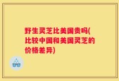 野生灵芝比美国贵吗(比较中国和美国灵芝的价格差异)
