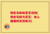 铁皮石斛和灵芝功效(铁皮石斛与灵芝：身心健康的天然助力)