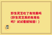 野生灵芝吃了有效果吗(野生灵芝真的有用处吗？试试看就知道！)