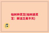 枯树种灵芝(枯树遇灵芝：鲜活之美不灭)