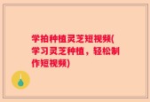学拍种植灵芝短视频(学习灵芝种植，轻松制作短视频)