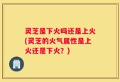 灵芝是下火吗还是上火(灵芝的火气属性是上火还是下火？)