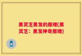 黑灵芝黑发的原理(黑灵芝：黑发神奇原理)