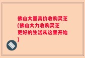 佛山大量高价收购灵芝(佛山大力收购灵芝 更好的生活从这里开始)