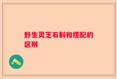野生灵芝石斛和搭配的区别