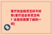 客厅放盆栽灵芝好不好养(客厅适合养灵芝吗？这是你需要了解的一切)