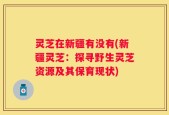 灵芝在新疆有没有(新疆灵芝：探寻野生灵芝资源及其保育现状)