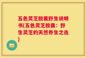 五色灵芝胶囊野生说明书(五色灵芝胶囊：野生灵芝的天然养生之选)