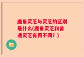 鹿角灵芝与灵芝的区别是什么(鹿角灵芝和普通灵芝有何不同？)